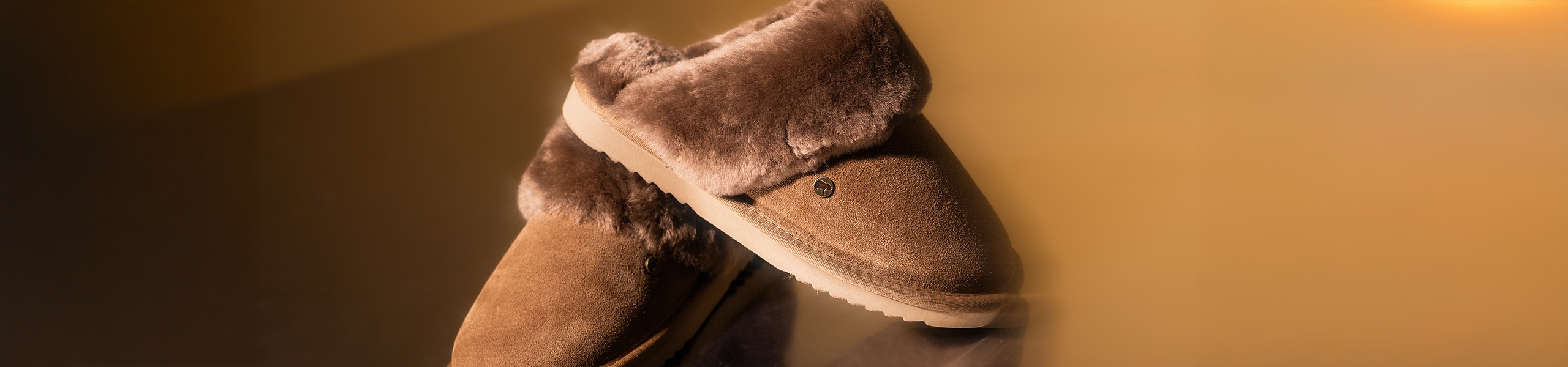 Blog_hoofdbanner_Pantoffels_week48_2025