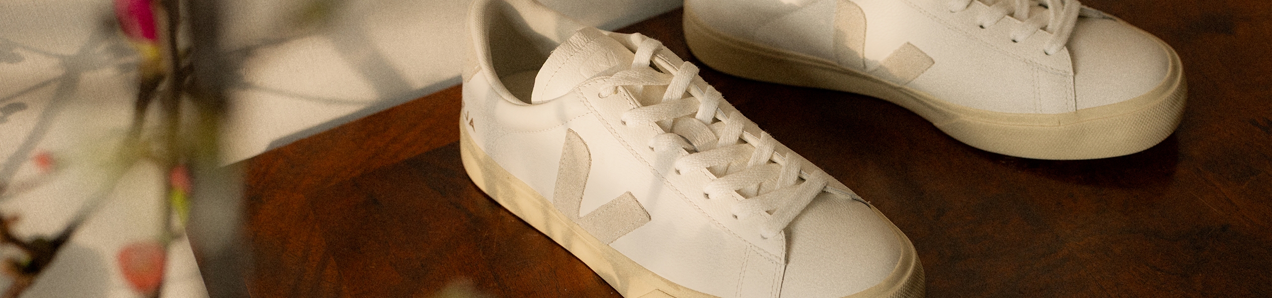 Blog_hoofdbanner_Veja_week9_2026