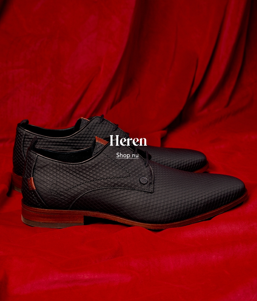 Nelson_desktop_banner_heren_AW25_Feestdagen_854x1000