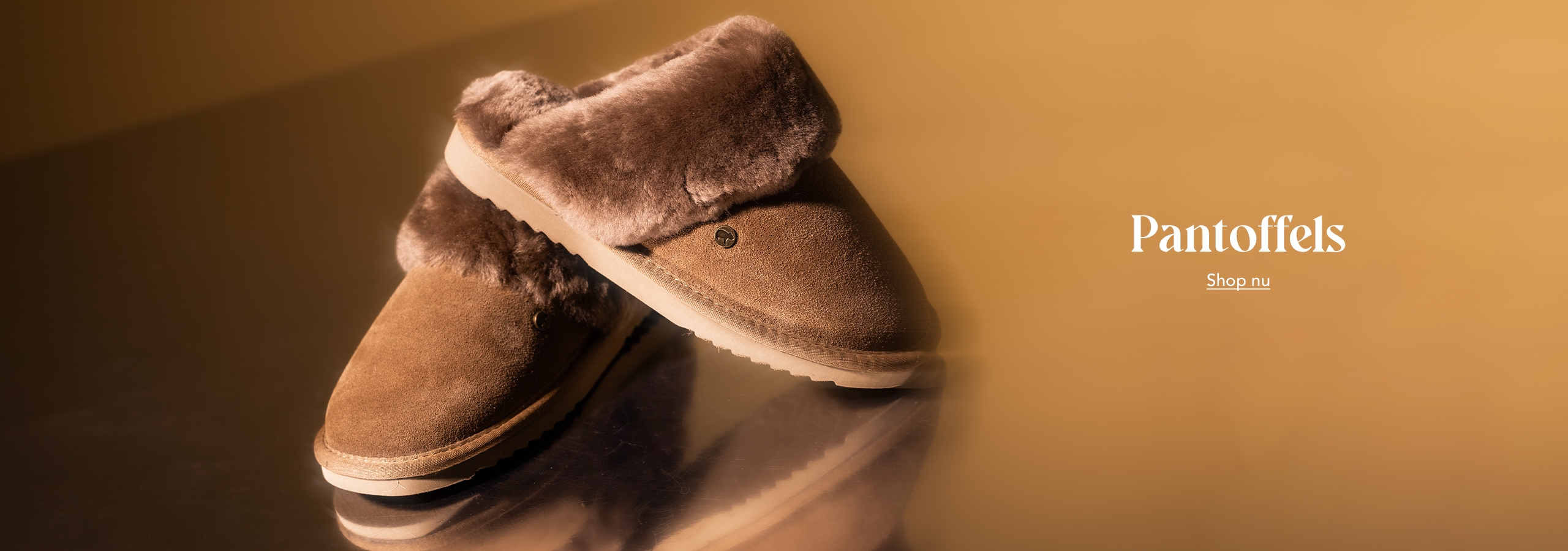 Nelson_desktop_homepage_banner_Pantoffels_AW25_2560x600